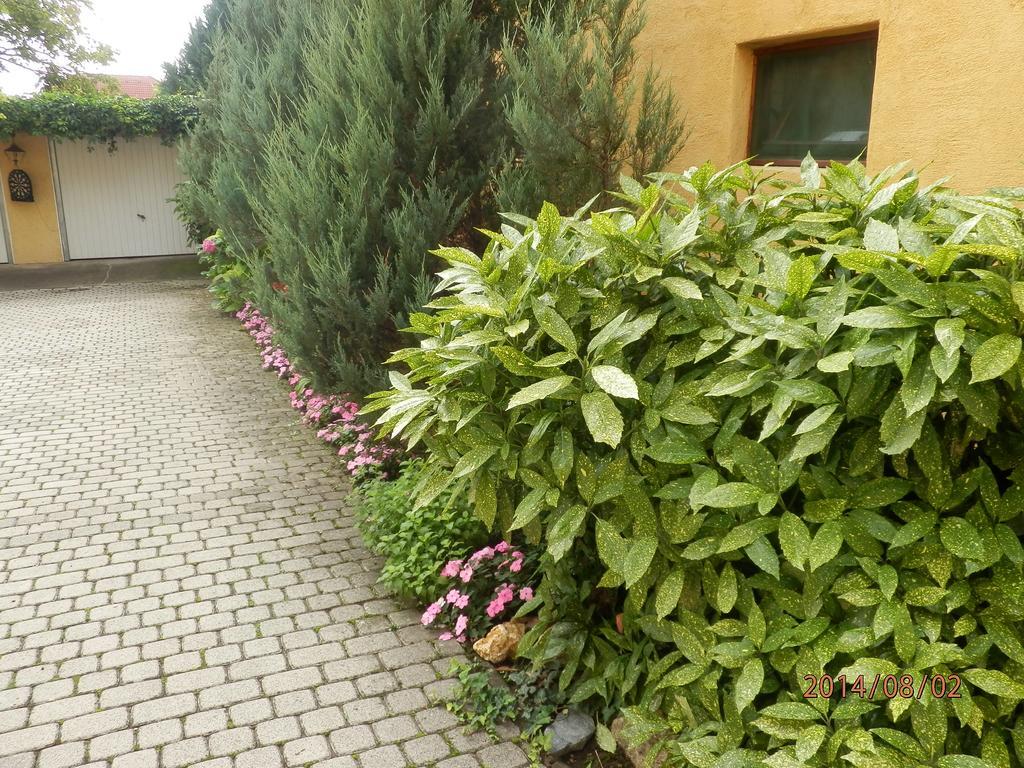 Zsuzsanna Haz Hotel Heviz Exterior photo